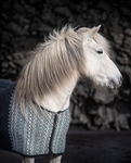 Kidka Wool Cooler Blanket Icelandic Horse Tolt Tack