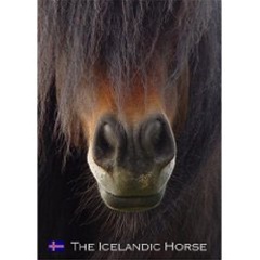 DVD "The Icelandic Horse"